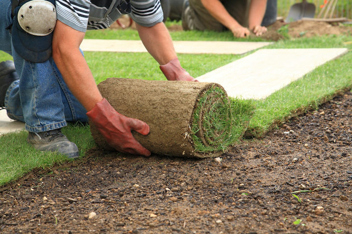 Plaatsen van grasmatten door de tuinaannemer